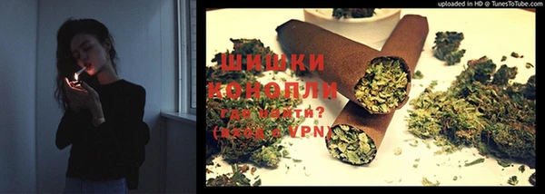 гидра Заводоуковск