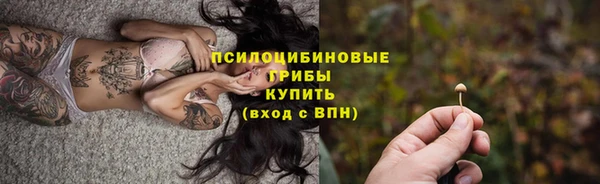 гидра Заводоуковск