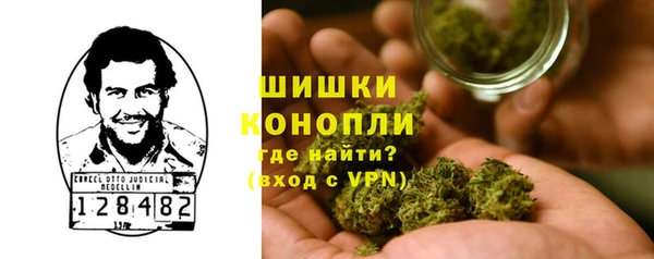 гидра Заводоуковск