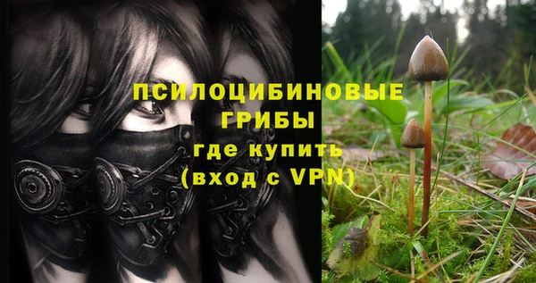 стаф Заволжье