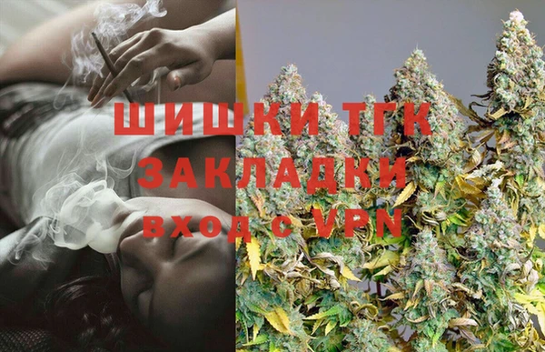 гидра Заводоуковск