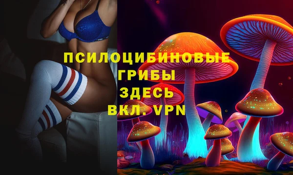 стаф Заволжье