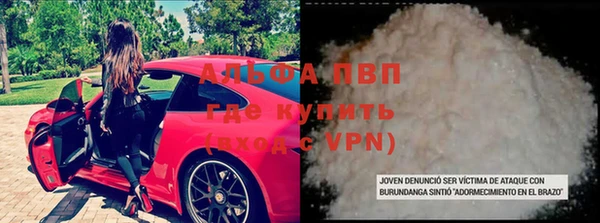 гидра Заводоуковск