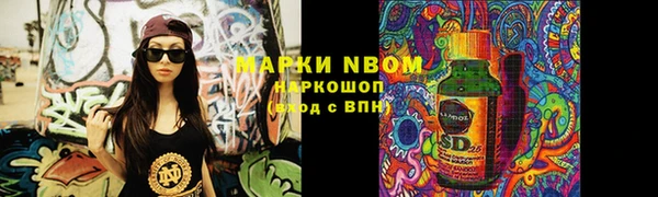 гидра Заводоуковск