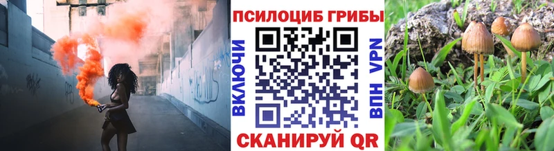 Псилоцибиновые грибы мухоморы  купить закладку  Кисловодск 